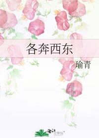 奥特曼兄弟历险记2